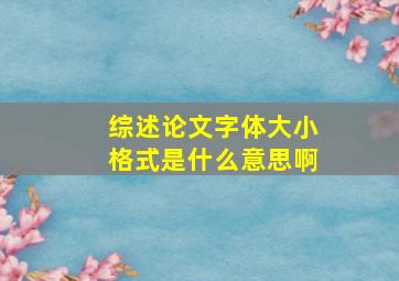 综述论文字体大小格式是什么意思啊