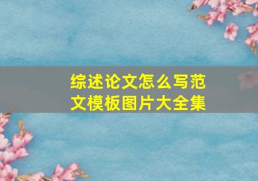 综述论文怎么写范文模板图片大全集