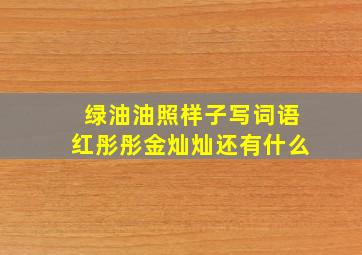 绿油油照样子写词语红彤彤金灿灿还有什么