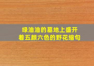 绿油油的墓地上盛开着五颜六色的野花缩句