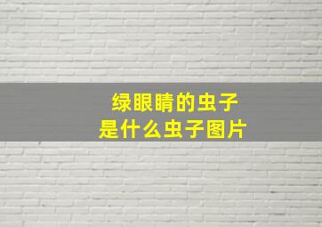 绿眼睛的虫子是什么虫子图片