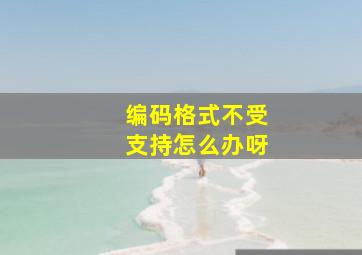 编码格式不受支持怎么办呀