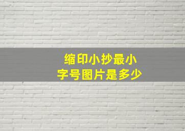 缩印小抄最小字号图片是多少