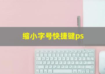 缩小字号快捷键ps