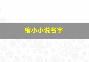 缩小小说名字