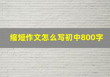 缩短作文怎么写初中800字