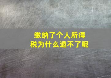 缴纳了个人所得税为什么退不了呢