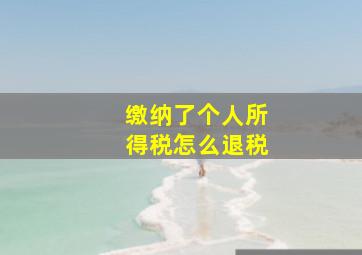 缴纳了个人所得税怎么退税