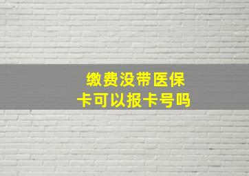 缴费没带医保卡可以报卡号吗