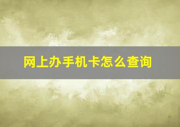 网上办手机卡怎么查询