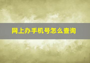 网上办手机号怎么查询