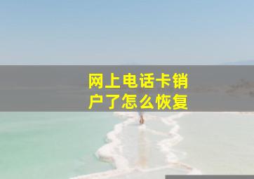 网上电话卡销户了怎么恢复