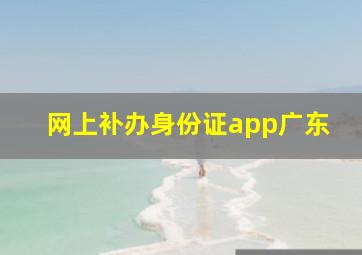 网上补办身份证app广东