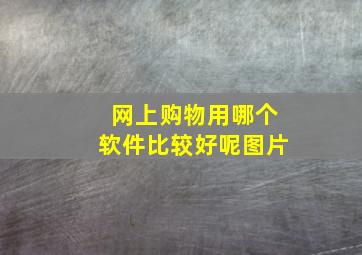 网上购物用哪个软件比较好呢图片