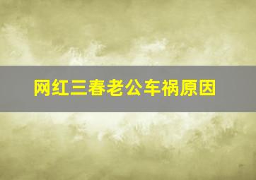 网红三春老公车祸原因