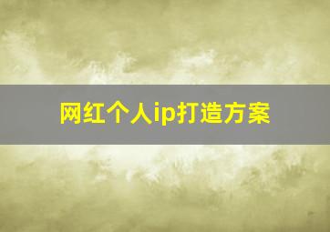 网红个人ip打造方案