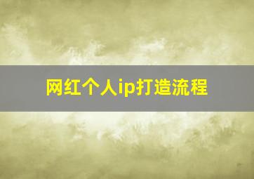 网红个人ip打造流程