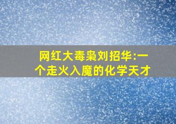 网红大毒枭刘招华:一个走火入魔的化学天才