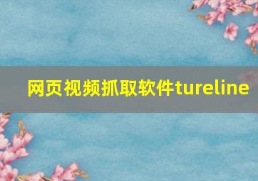 网页视频抓取软件tureline