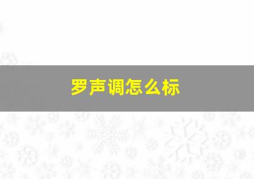 罗声调怎么标