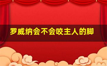 罗威纳会不会咬主人的脚