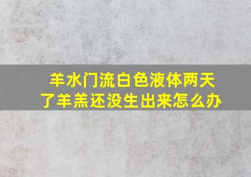 羊水门流白色液体两天了羊羔还没生出来怎么办