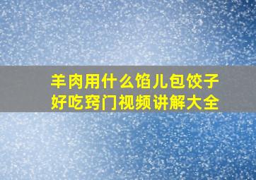 羊肉用什么馅儿包饺子好吃窍门视频讲解大全