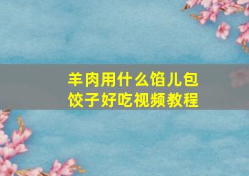 羊肉用什么馅儿包饺子好吃视频教程