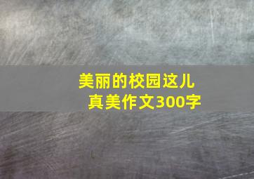 美丽的校园这儿真美作文300字