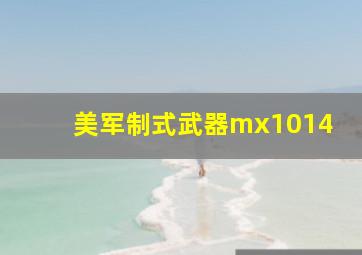 美军制式武器mx1014