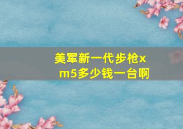 美军新一代步枪xm5多少钱一台啊