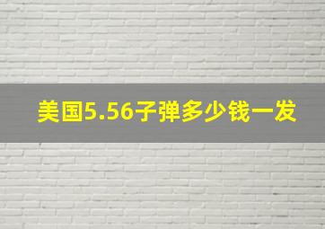 美国5.56子弹多少钱一发