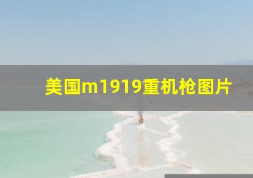 美国m1919重机枪图片