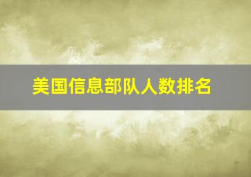 美国信息部队人数排名