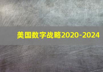 美国数字战略2020-2024