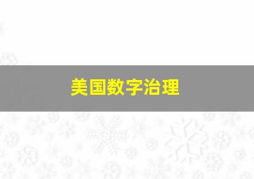 美国数字治理