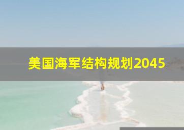 美国海军结构规划2045