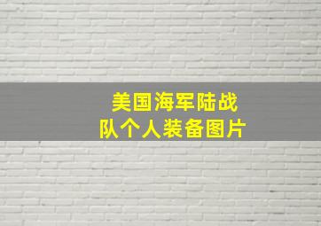 美国海军陆战队个人装备图片