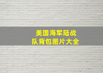 美国海军陆战队背包图片大全