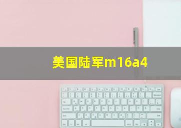 美国陆军m16a4