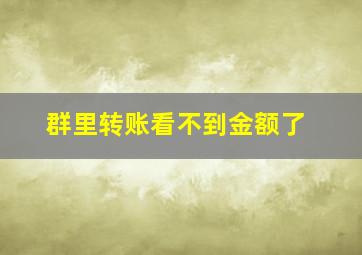 群里转账看不到金额了