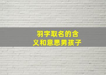 羽字取名的含义和意思男孩子