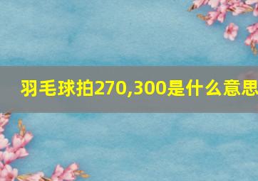 羽毛球拍270,300是什么意思