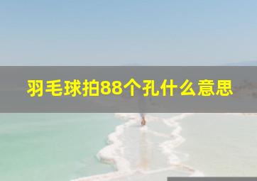 羽毛球拍88个孔什么意思