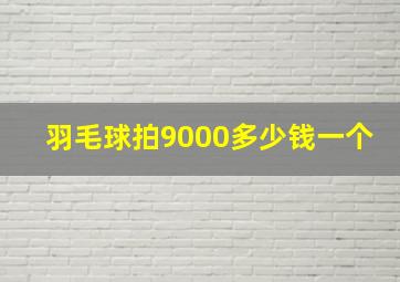 羽毛球拍9000多少钱一个