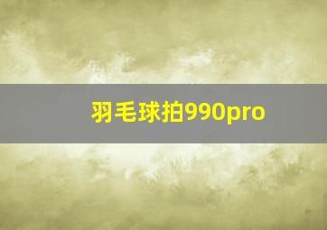 羽毛球拍990pro