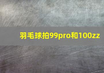 羽毛球拍99pro和100zz