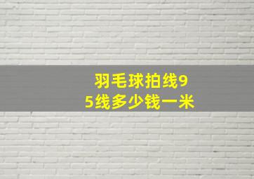 羽毛球拍线95线多少钱一米