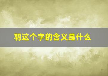 羽这个字的含义是什么