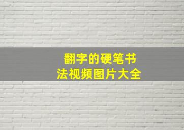 翻字的硬笔书法视频图片大全